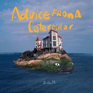 国产美女1级毛片。
